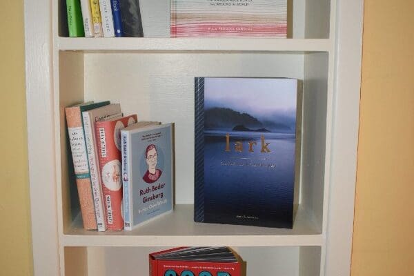 Therapeutic book collection in wall shelves