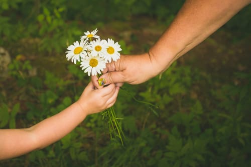 Hands giving and receiving flowers in an act of kindness