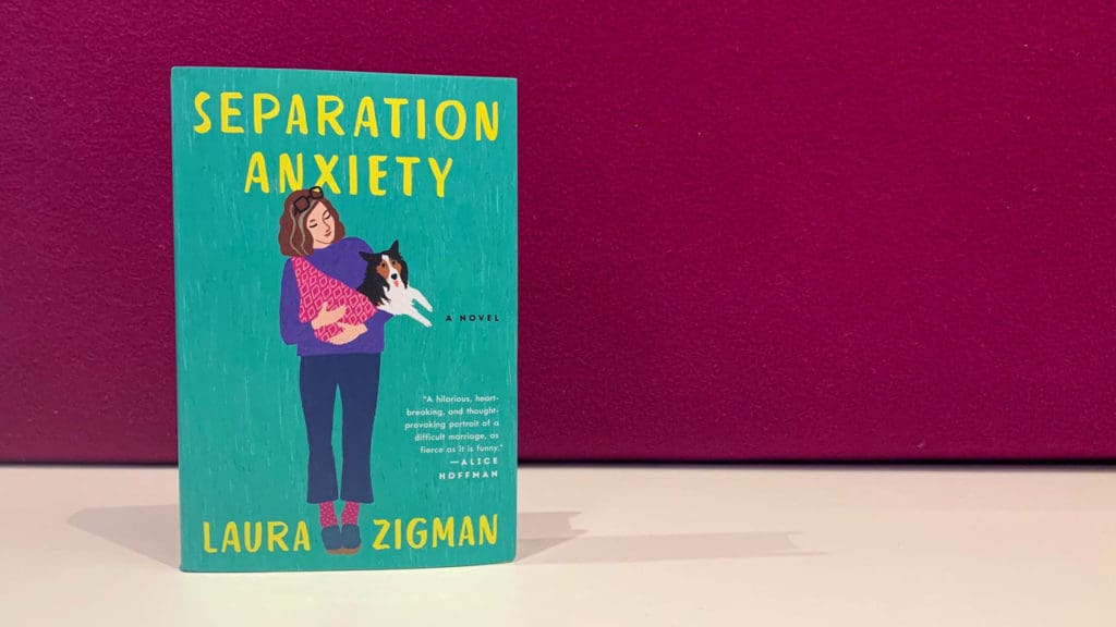 Separation Anxiety: A Novel Book