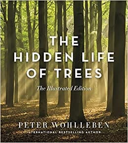 The Hidden Life of Trees Book