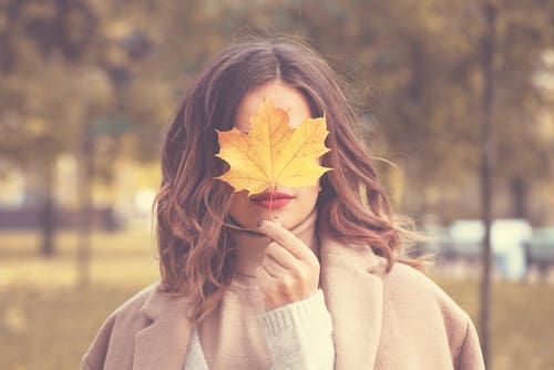 A Plan for Autumn